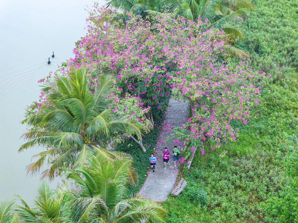 Công viên Ecopark